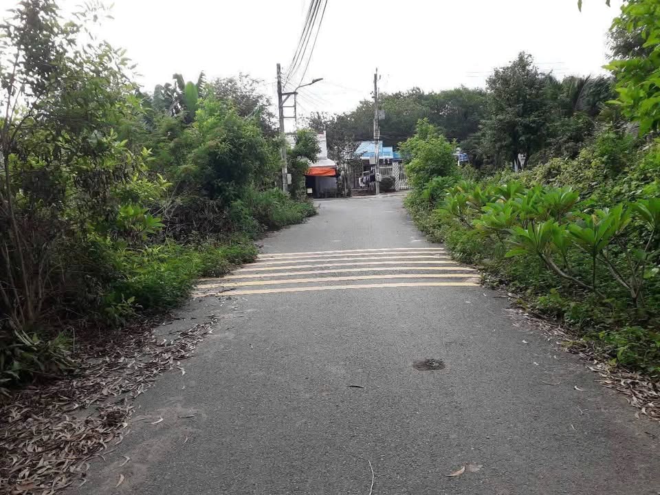 Đất thổ cư Phú An, Bến Cát 185m² giá 750 triệu - Chủ kẹt bán gấp!