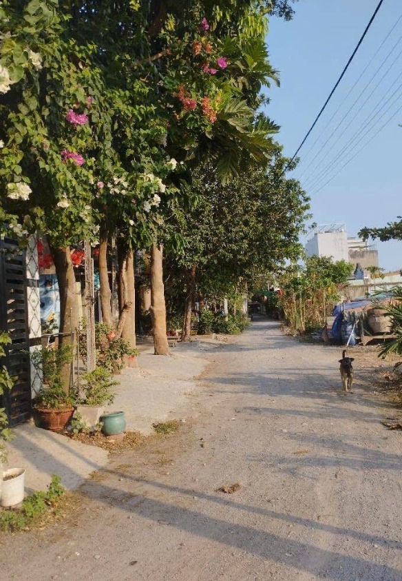 Nhà phố Gò Dưa Tam Bình 57m² giá 4.4 tỷ - Hẻm thông rộng, đầu tư sinh lời!