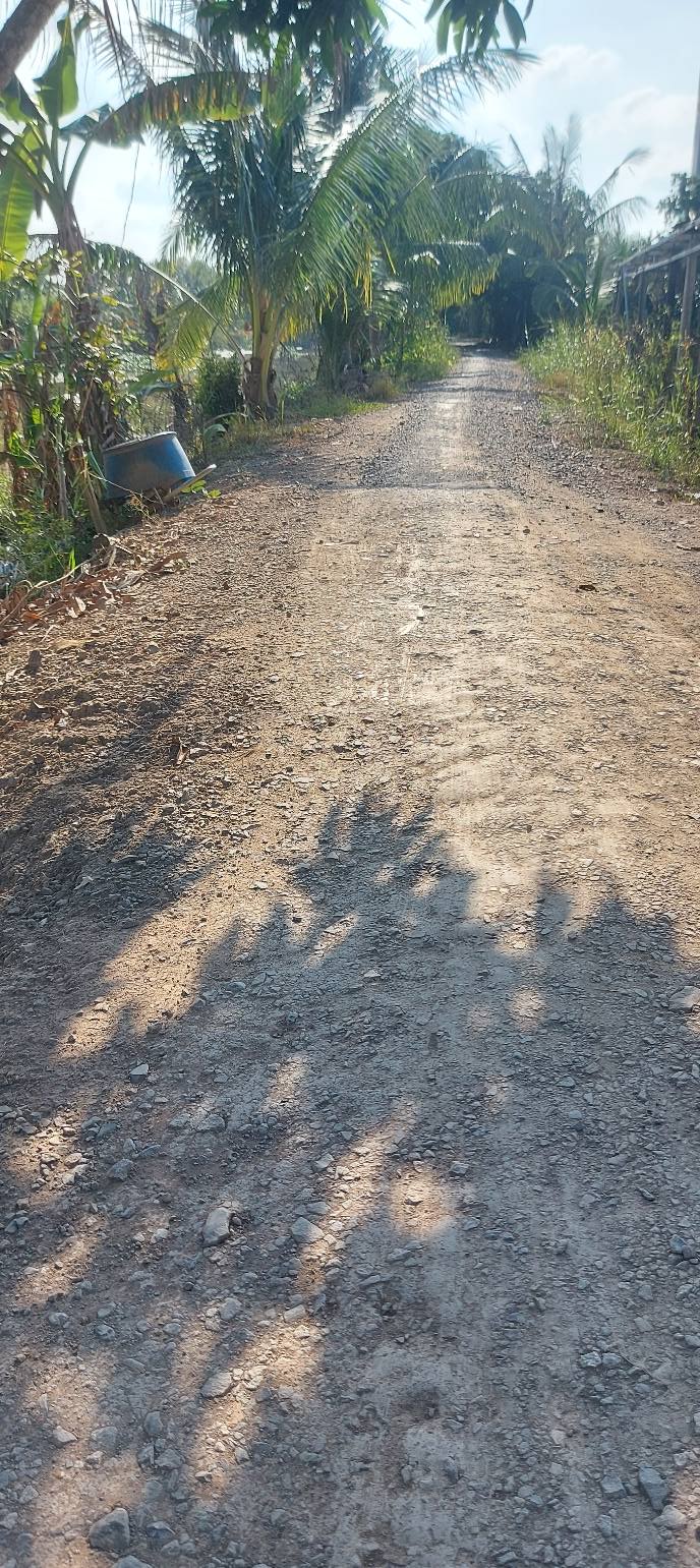 Đất thổ cư 1000m² phường Mỹ Trà - Giá chỉ 1 tỷ, cơ hội đầu tư tuyệt vời!