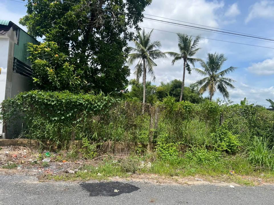 Đất Ninh Thạnh Tây Ninh 261m² giá 185 triệu - Cơ hội đầu tư hấp dẫn!