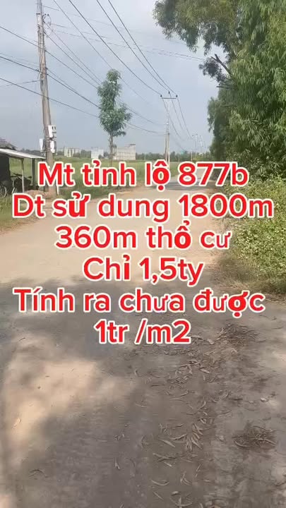Đất thổ cư 360m² mặt tiền tỉnh lộ 877B, Tân Phú Đông, giá chỉ 1.8 tỷ - Cơ hội đầu tư hấp dẫn!