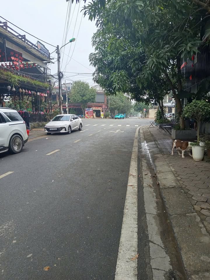 Nhà phố Kim Tân Lào Cai 90m² giá 3.6 tỷ - Khu vực kinh doanh sầm uất!