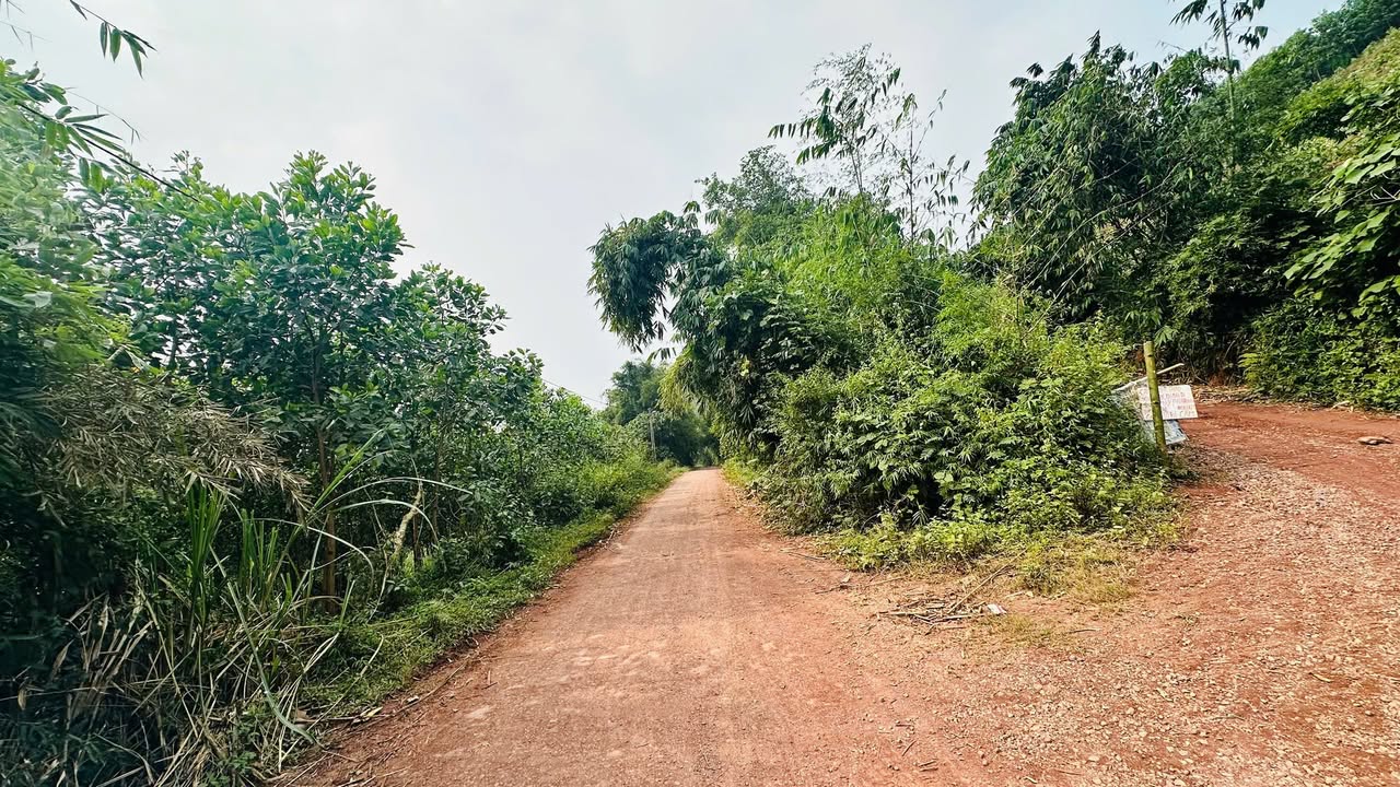 Đất nền Thung Nai 2264m² giá 2.1 tỷ - Đầu tư sinh lời ngay!