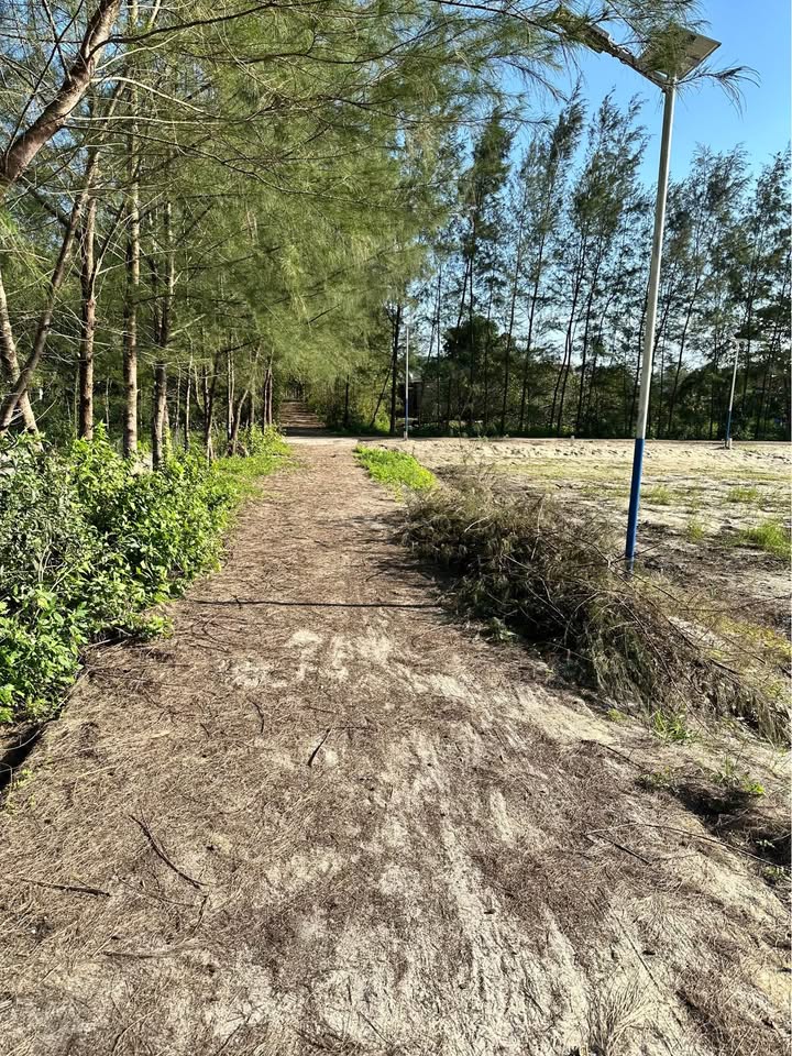 Đất thổ cư thôn 1, xã Triệu Cơ, 168m² giá 200 triệu - Tiềm năng đầu tư cao!