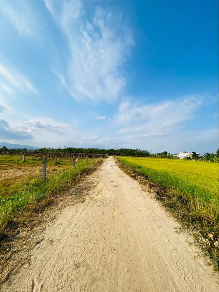 Đất thổ cư 769m² tại xã Hàm Liêm, giá 330 triệu - Cơ hội đầu tư tốt!