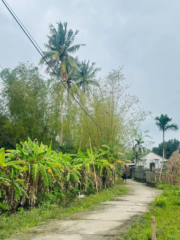 Đất vườn 590m² tại Bình Giang - Thăng Bình giá chỉ 9xx triệu - Sổ hồng chính chủ!