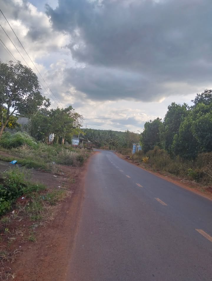 Đất nền Bù Đăng 1.6ha giá 4.5 tỷ - Đầu tư sinh lời nhanh!