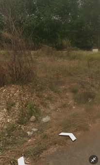 Đất ở đô thị Tân Đồng, Bình Phước 883.5m² giá 1.25 tỷ - Đường nhựa rộng rãi, đầu tư sinh lời!