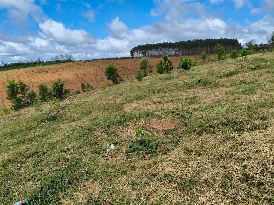 Đất nền 10ha tại xã Hra, Gia Lai - Giá 6 tỷ, pháp lý rõ ràng!