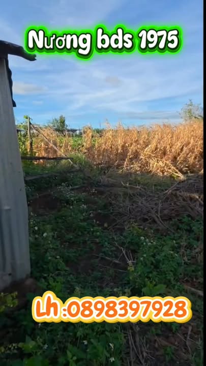 Đất nền Ia Lê, Chư Pưh, Gia Lai 2.000m² giá 400 triệu - Cơ hội đầu tư tuyệt vời!