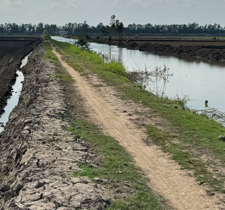 Đất nền Phú Thành B, Tam Nông 47.000m² giá 5.87 tỷ - Đất 3 vụ, pháp lý rõ ràng!