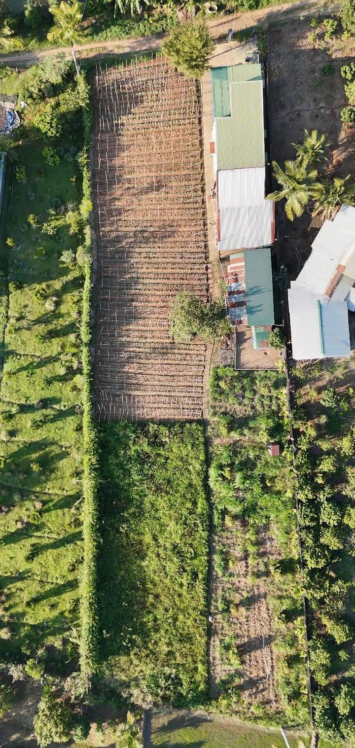 Đất nền Hòa Tiến, Krông Pắc 1440m² giá 992 triệu - Đầu tư sinh lời lý tưởng!