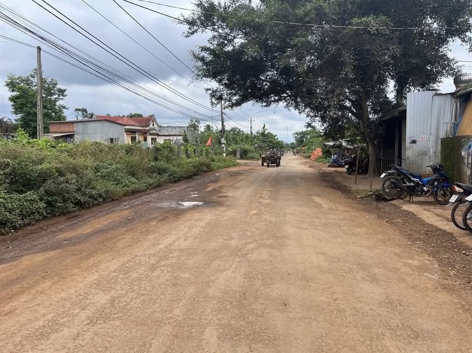 Đất nền tại đường chính Buôn Kang, xã Ea Knuếc, 155m² chỉ 1.45 tỷ - Cơ hội đầu tư sinh lời!