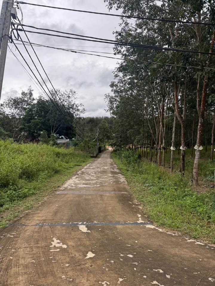 Đất thổ cư tại thôn Konhring, xã Đăk Bla, 1000m² giá 400 triệu - Đầu tư sinh lời ngay!