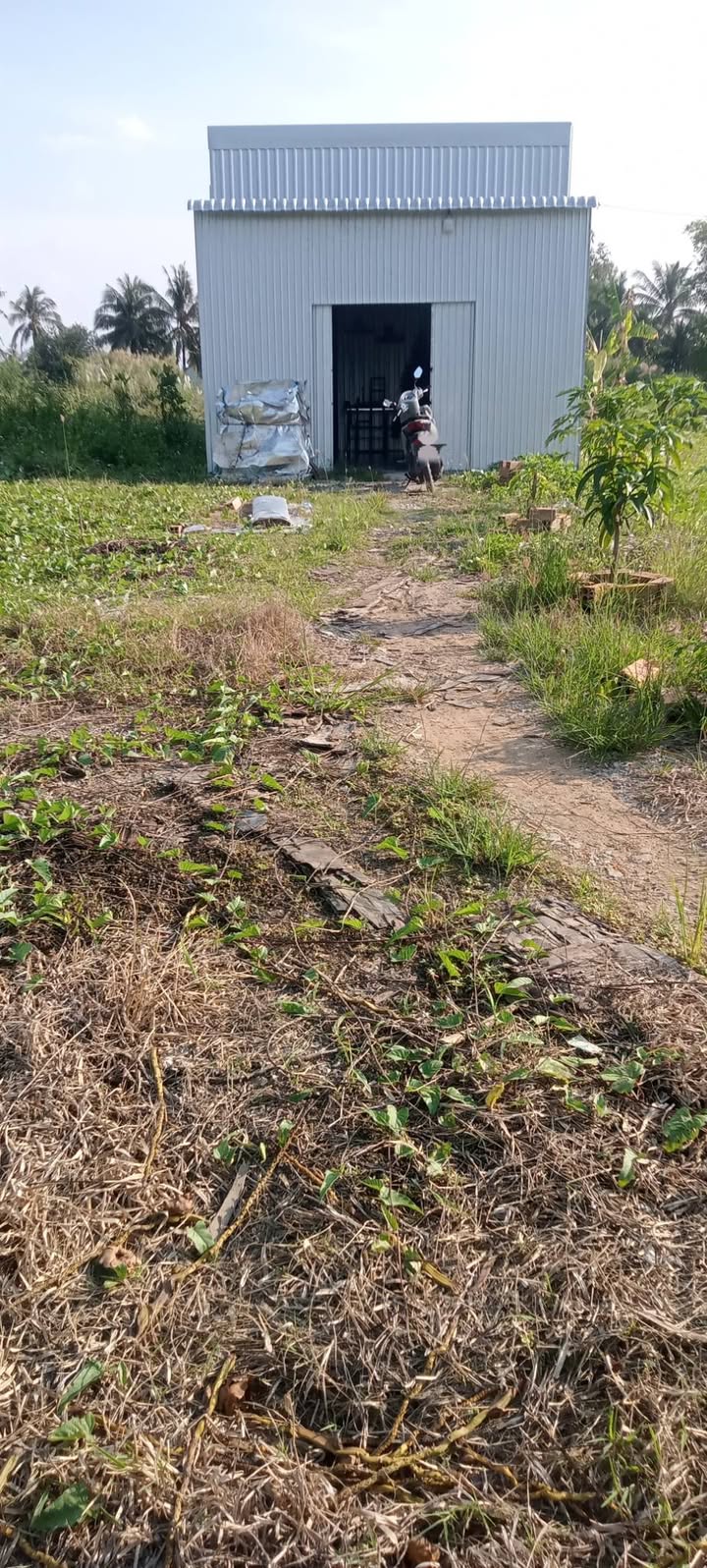 Đất nền Thạnh Lộc, Giồng Riềng 164m² giá 590 triệu - Đầu tư sinh lời ngay!