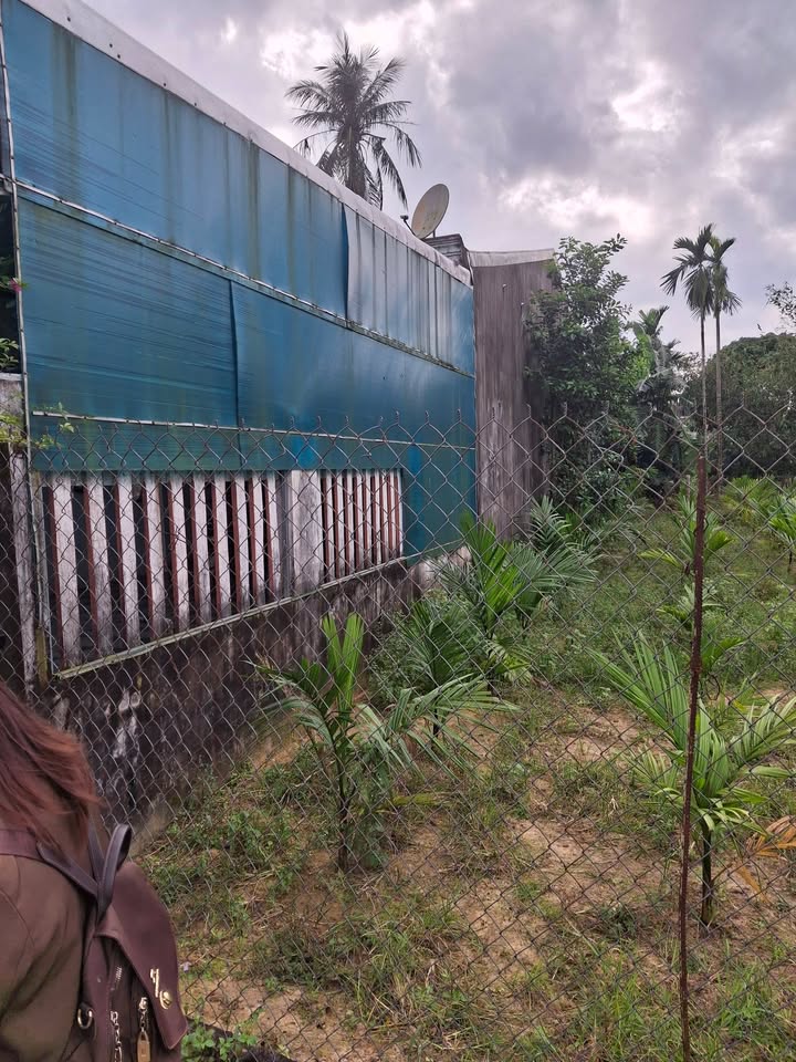 Nhà Nghĩa Điền Quảng Ngãi 200m² giá 800 triệu - Cần bán gấp!