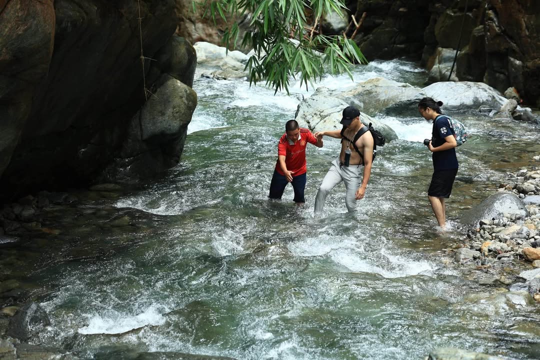 Đất cây lâu năm 2300m² tại Hoàng Nông, Đại Từ - Giá chỉ 2 tỷ!