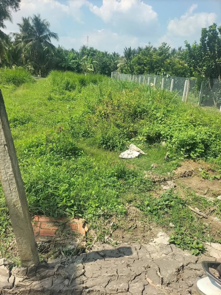 Đất nền Sông Thuận, Châu Thành 195m² giá 650 triệu - Cơ hội đầu tư tuyệt vời!