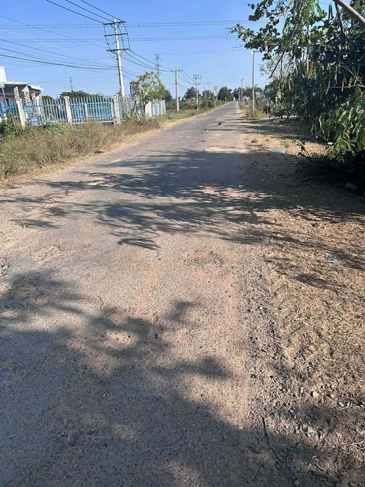 Đất nền Hàm Phú, Hàm Thuận Bắc 1,3 sào giá 1,1 tỷ - Cơ hội đầu tư hiếm có!