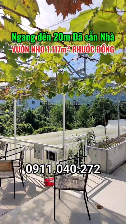 Vườn nho 1.117m² tại Phước Đồng - Mặt tiền 20m sát Diamond Bay chỉ 7 tỷ!