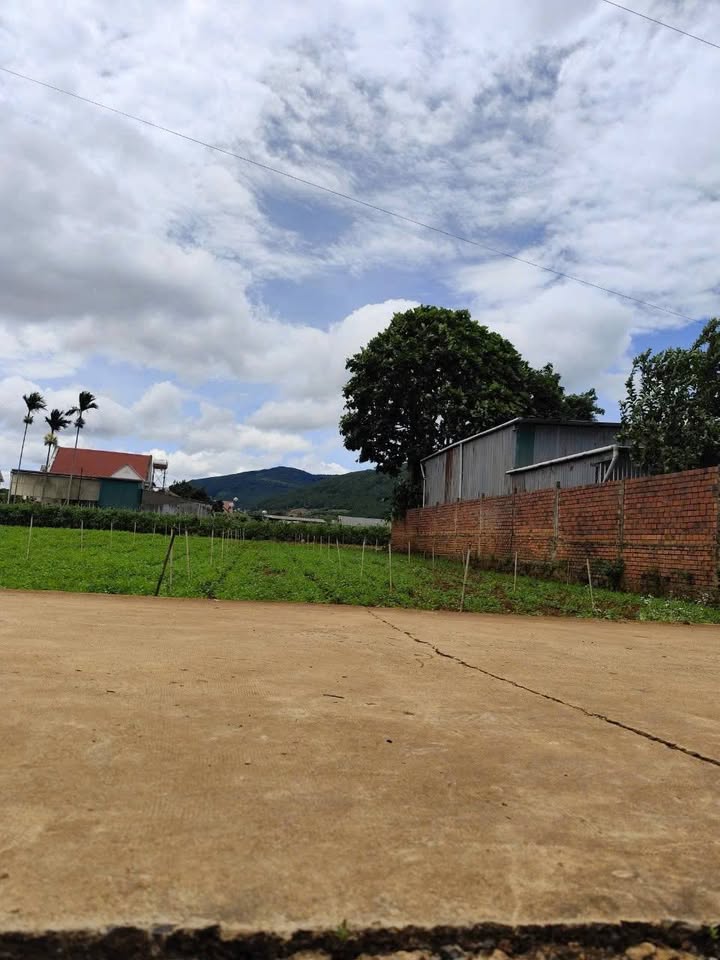 Đất nền Hiệp Thạnh, Đức Trọng 310m² giá 2.6 tỷ - Đầu tư lý tưởng cho nghỉ dưỡng