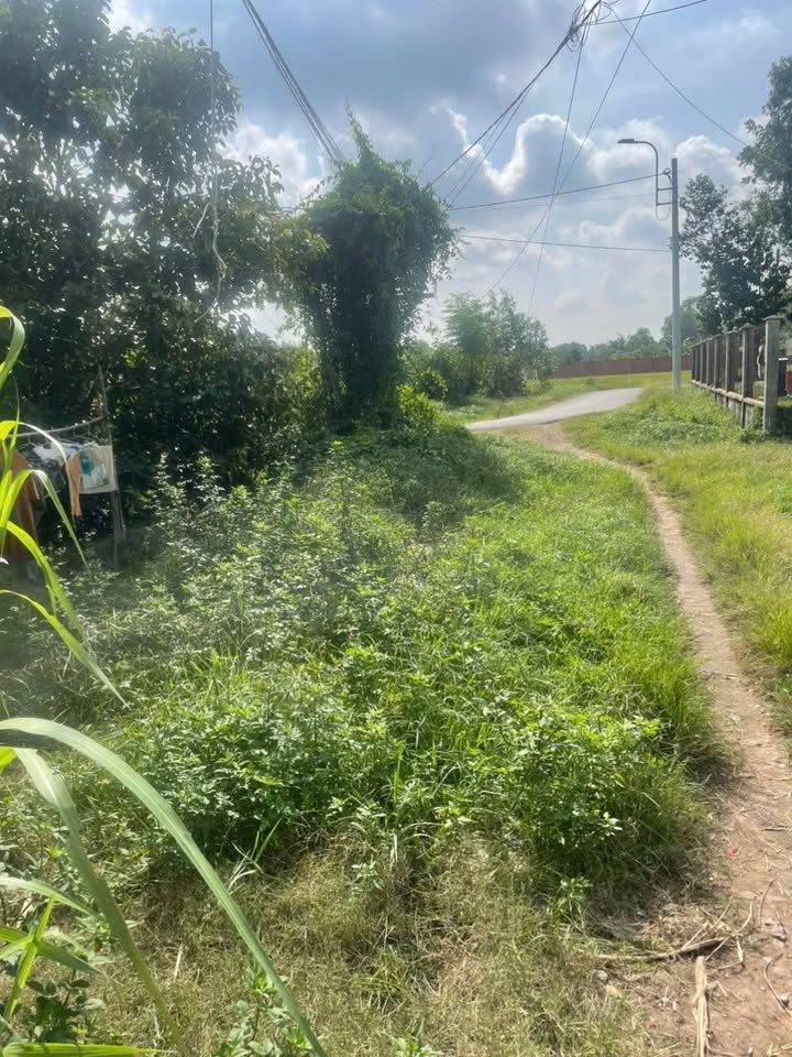 Nhà bán Ấp Bầu Sim, Củ Chi 60m² giá chỉ 700 triệu - Sẵn sàng vào ở!