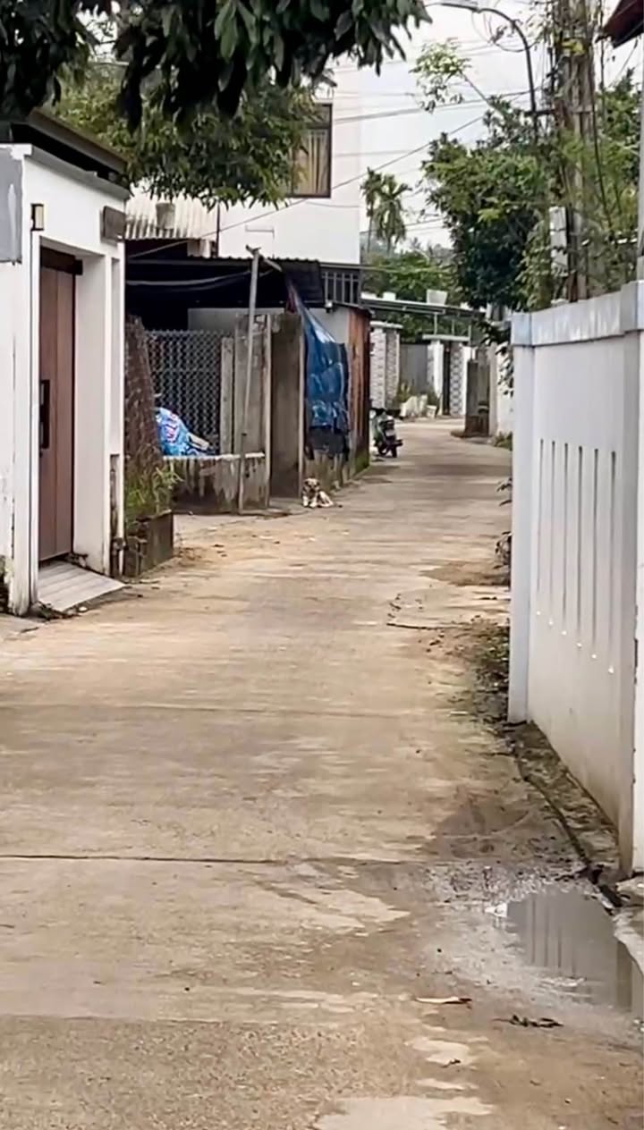 Lô đất hẻm ô tô Nguyễn Thông, phường Nghĩa Lộ 223m² giá 1.2 tỷ - Cơ hội đầu tư hấp dẫn!