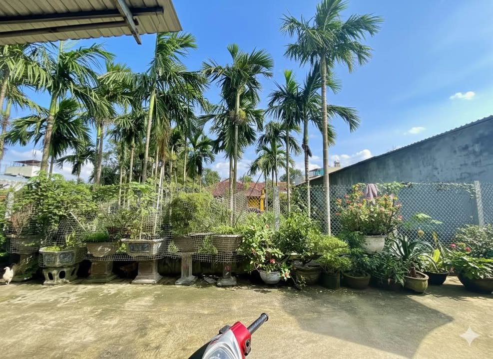 Đất nền Hẻm 56 Trần Cẩm, Quảng Ngãi 96m² giá 1.49 tỷ - Đầu tư sinh lời!