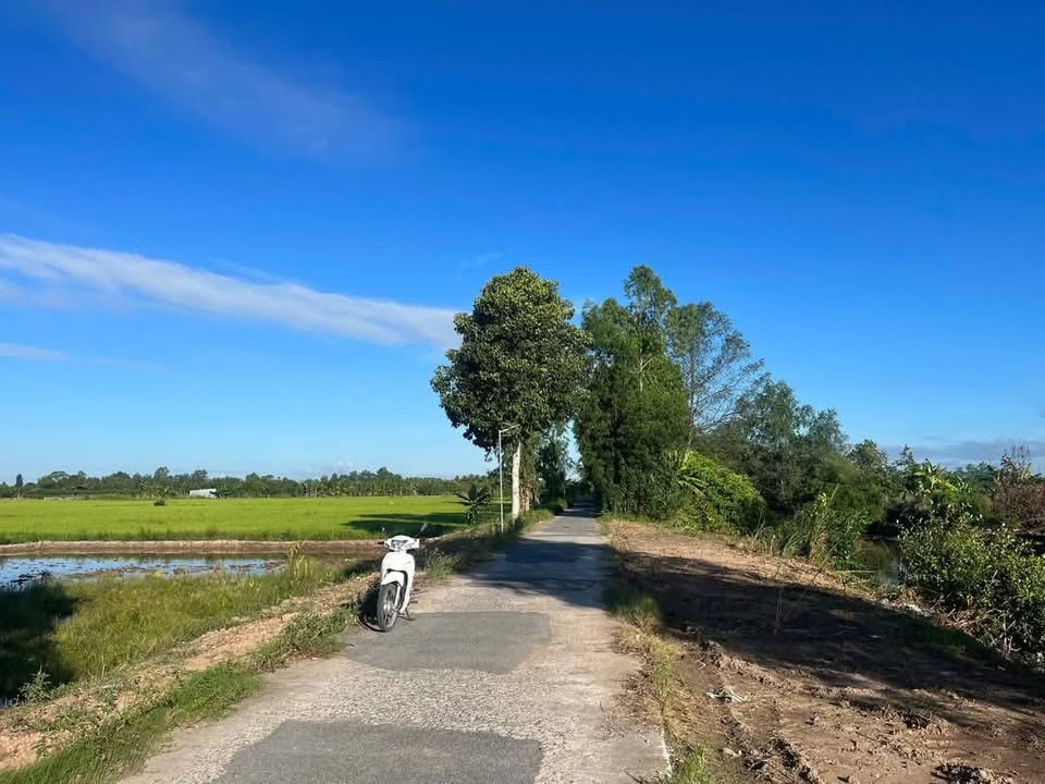 Đất nền thổ cư Bình Tân 200m² giá 700 triệu - Pháp lý rõ ràng, tiện ích xung quanh!