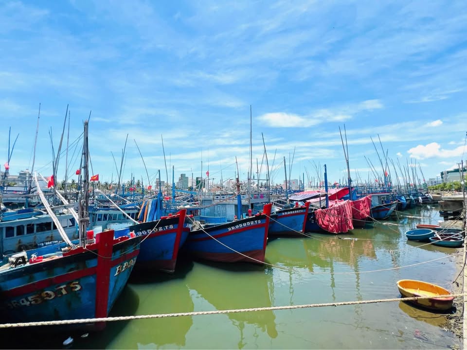 Đất nền ven biển Tam Quan Bắc 126m² giá 500 triệu - Đầu tư sinh lời ngay!