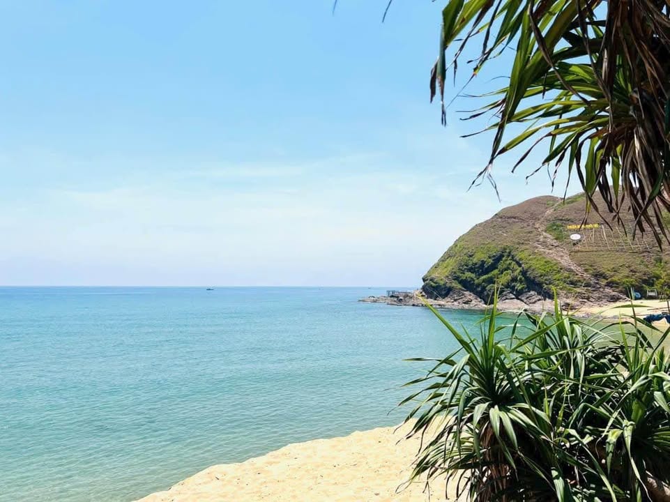 Đất mặt tiền Hoài Hải, Bình Định 119.7m² giá 1.2 tỷ - Đầu tư sinh lời ngay!