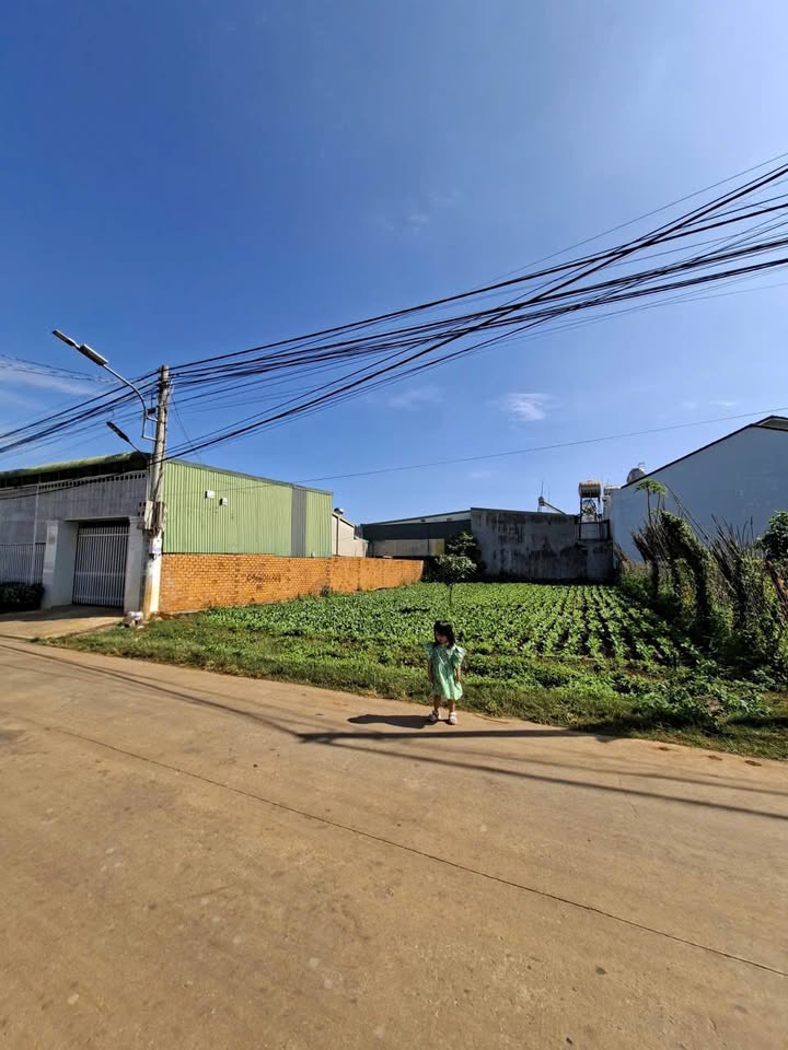 Đất nền hẻm 327 Y Moan, Tân Lợi, 162m² giá 3.1 tỷ - Vị trí đắc địa gần trung tâm!