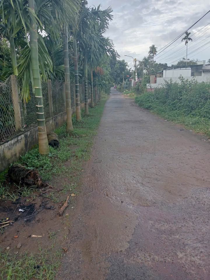 Đất nền Tân An Buôn Ma Thuột 250m² giá 2.9 tỷ - Góc 2 mặt tiền đắc địa!