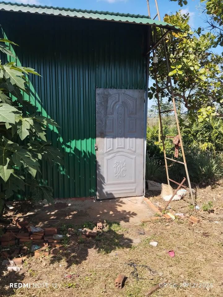 Đất nông nghiệp Ea M'Droh 8200m² giá 990 triệu - Chính chủ cần bán gấp!