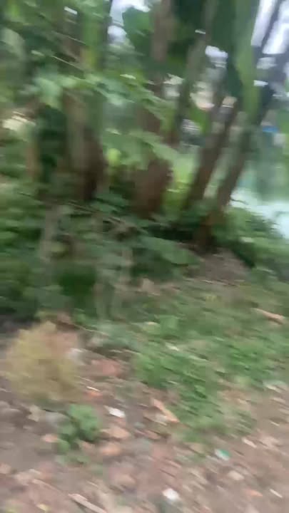 Lô đất thổ cư 68.4m² tại Danh Thượng 1, Hiệp Hòa chỉ 400 triệu - Cơ hội đầu tư an toàn!