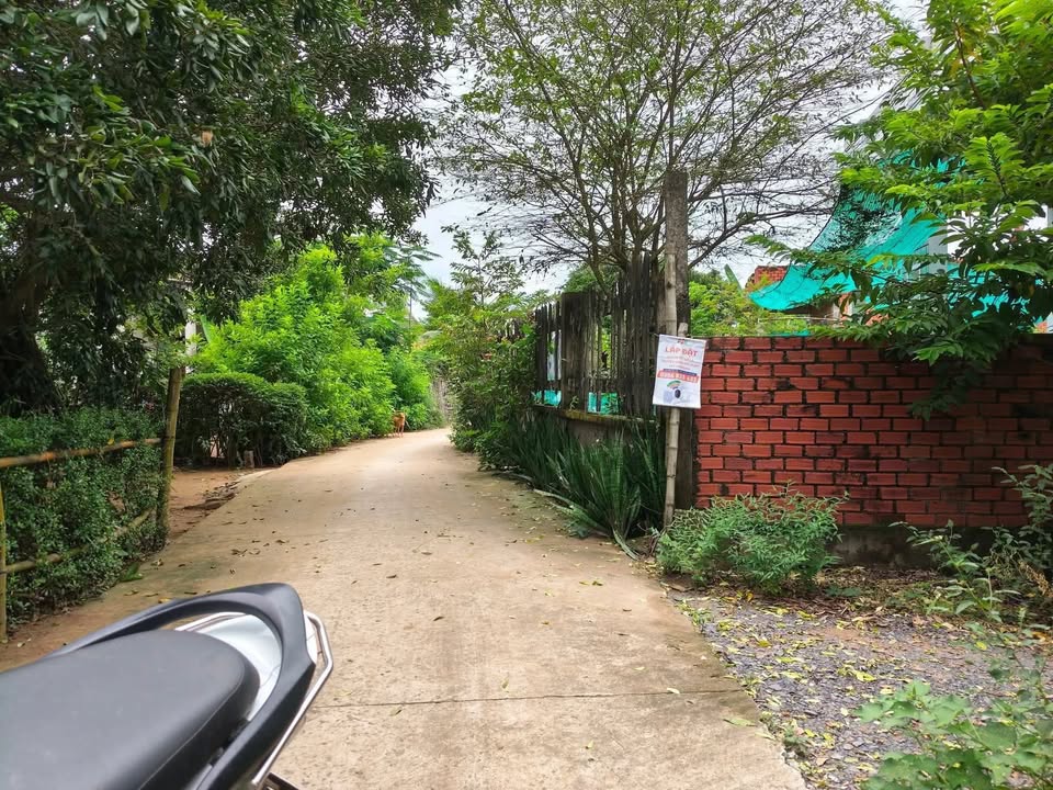 Đất nền cây lâu năm Tân Xuân, Ba Tri 759m² giá chỉ 400 triệu - Cơ hội đầu tư hấp dẫn!