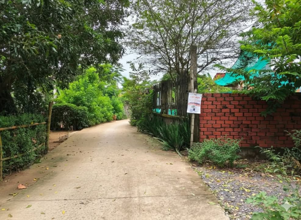 Đất nền cây lâu năm Tân Xuân, Ba Tri 759m² giá 400 triệu - Cơ hội đầu tư hấp dẫn!