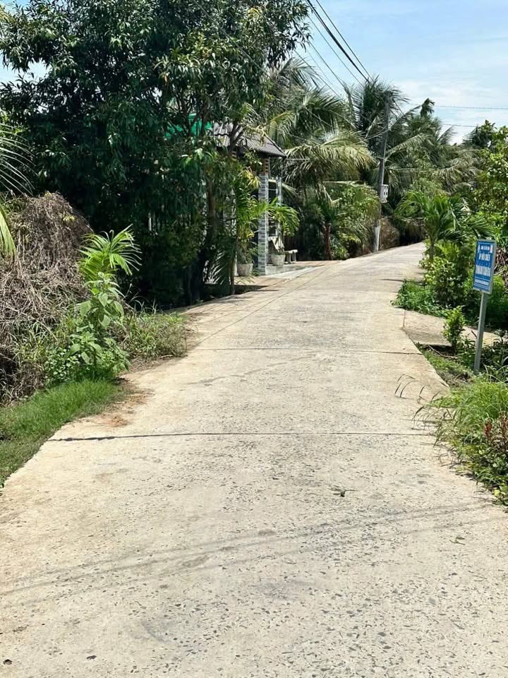 Đất vườn dừa Bến Tre 1160m² giá 1.85 tỷ - Cơ hội đầu tư không thể bỏ qua!