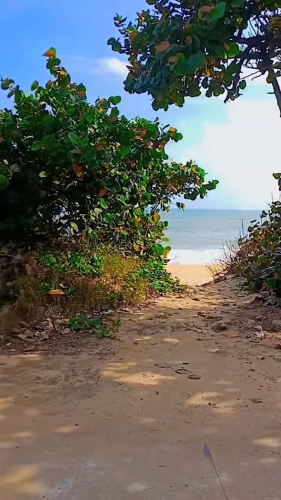 Đất lô góc view biển Hoài Nhơn Đông 203m² giá 2 tỷ - Cơ hội đầu tư tuyệt vời!