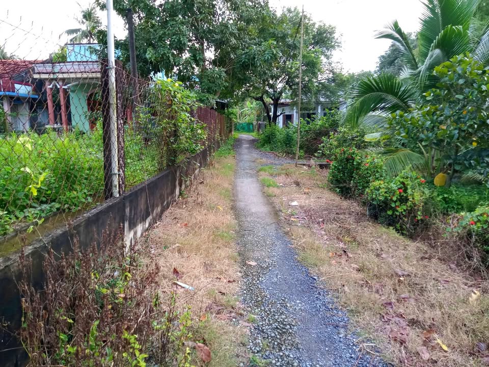 Nhà vườn 464m² ở ấp Lợi An, Gò Công Tây chỉ 650 triệu - Đầu tư lý tưởng!