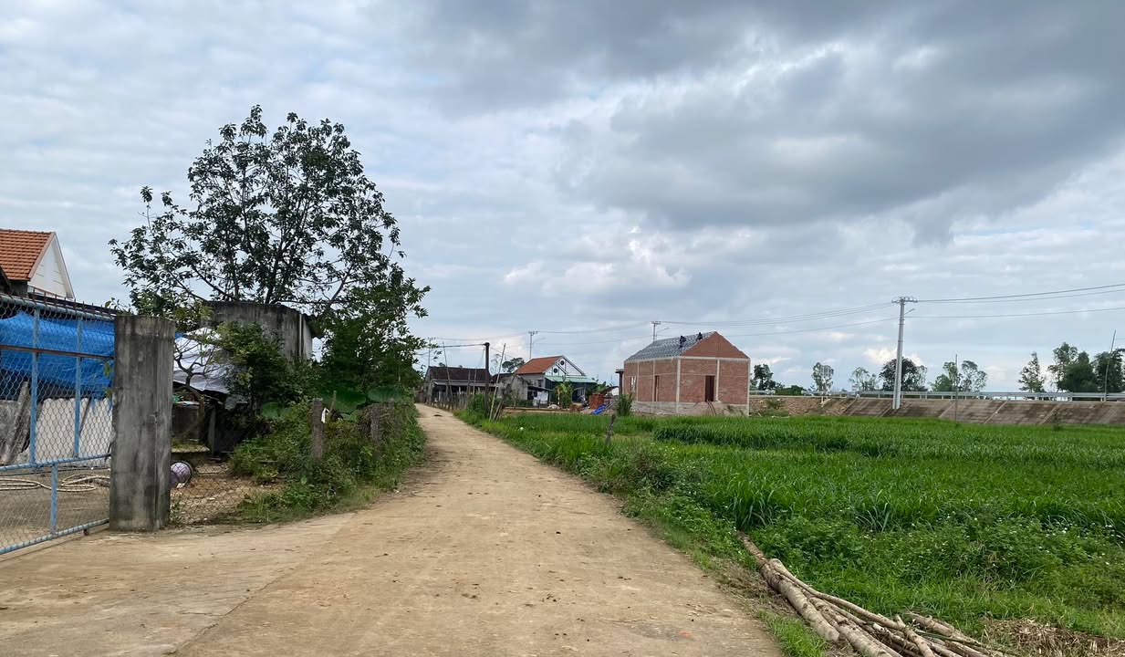 Đất nền Nhơn Tân An Nhơn 2100m² giá 600 triệu - Đầu tư sinh lời ngay!