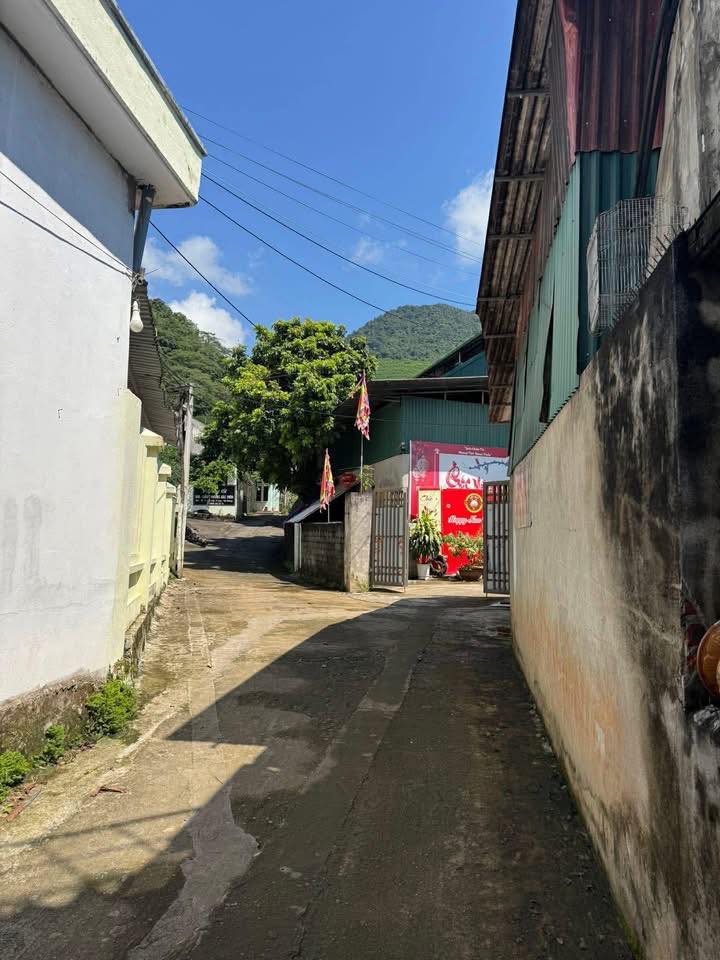 Bán đất tặng nhà cấp 4 tại Quang Trung, Hà Giang 528m² giá 1.3 tỷ - Không khí trong lành, tiện ích đầy đủ!