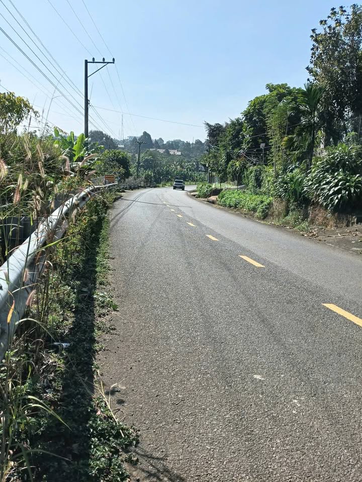 Đất nền Lộc An Bảo Lâm 175m² giá 1.2 tỷ - Đầu tư sinh lời lý tưởng!