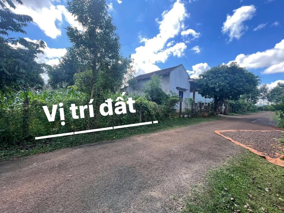 Đất nền Ia Yok 560m² giá chỉ 400 triệu - Cơ hội đầu tư tuyệt vời!