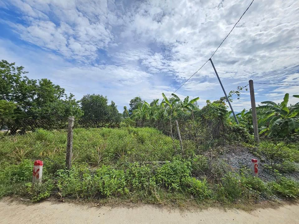 Đất thổ cư Diên Thọ 124m² giá chỉ 420 triệu - Đường ô tô vào tận nơi!