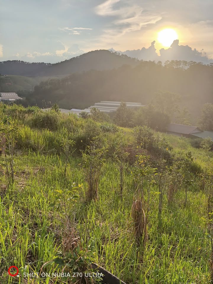 Bán lô đất mặt đường bê tông Lạc Dương 1200m² giá 1.5 tỷ - Đầu tư sinh lời ngay!