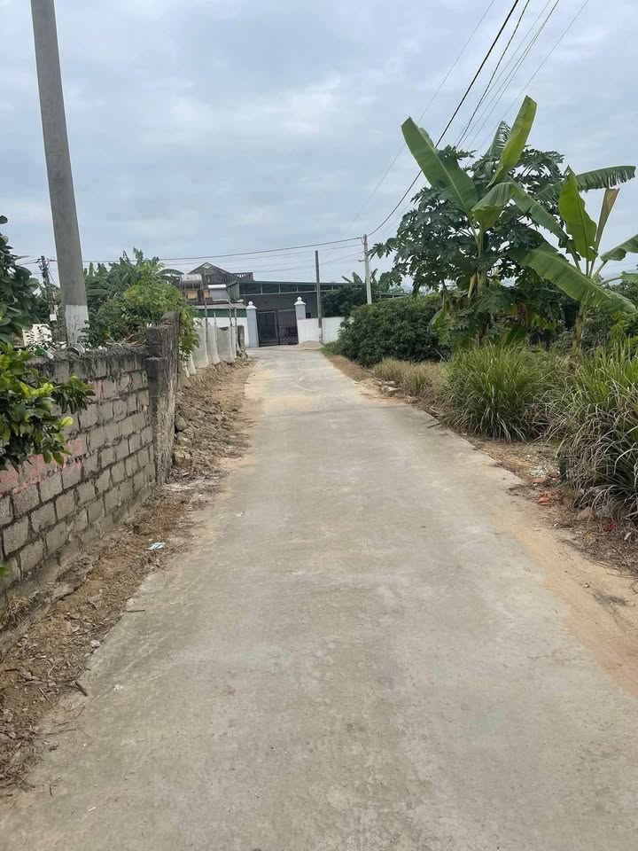 Đất thổ cư An Sinh, Đông Triều 197m² giá chỉ 4xx triệu - Cơ hội đầu tư tuyệt vời!