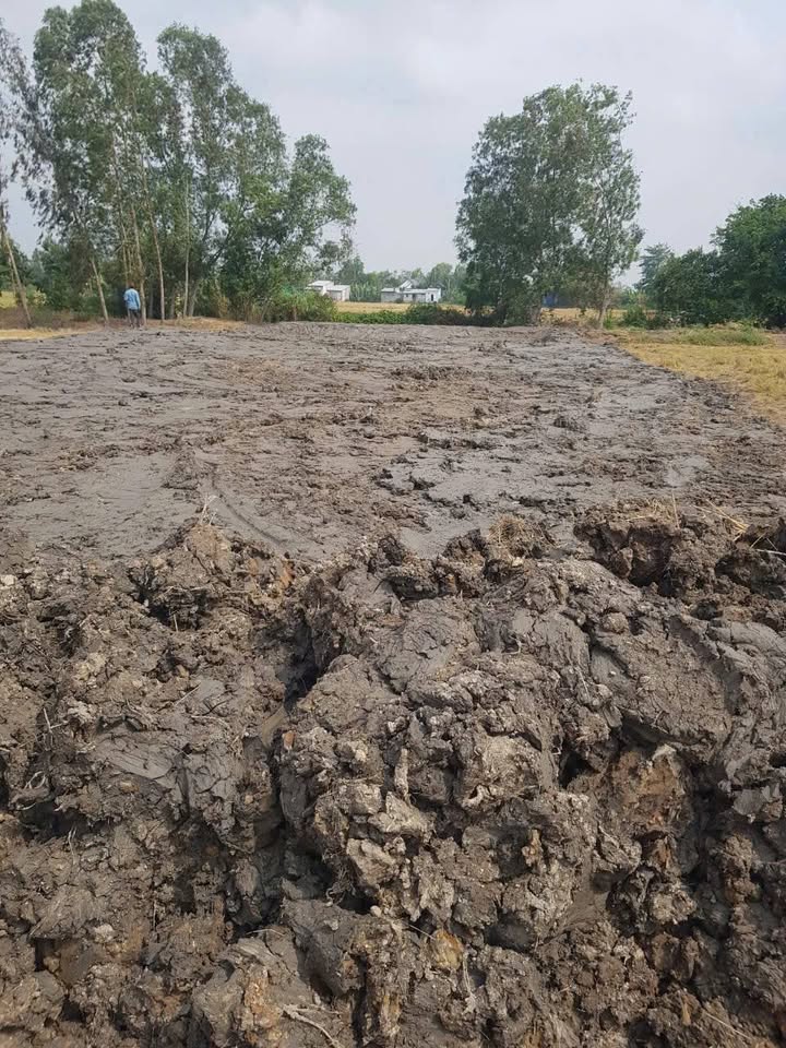 Đất nền Mặt Tiền Đường Minh Lương - Giục Tượng 1033.7m² giá 100 triệu/m ngang - Cơ hội đầu tư tuyệt vời!