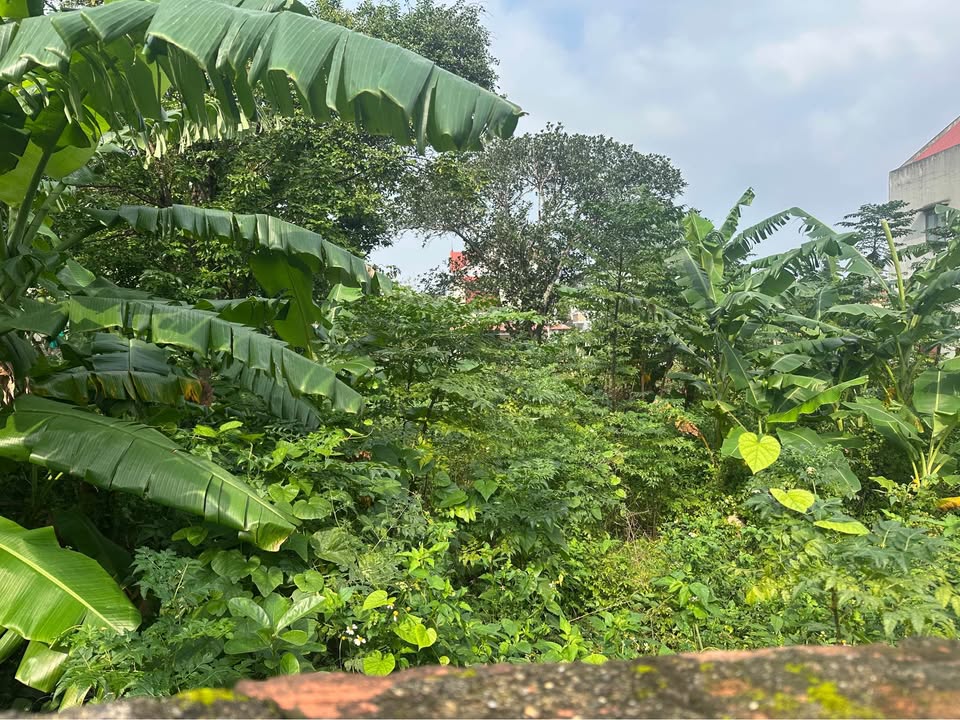 Đất ở chính chủ hẻm 61 Trần Nhật Duật, 250m² - Tiện ích đầy đủ, giá thỏa thuận!