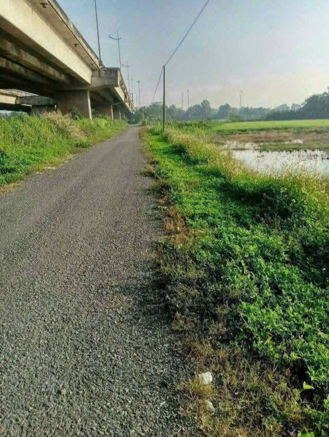 Đất lúa 1.000m² tại Lợi Bình Nhơn, Tân An, Long An - Chính chủ bán gấp chỉ 720 triệu!